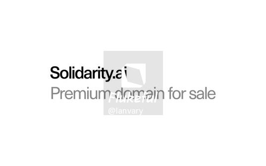 Solidarity.ai domain for sale