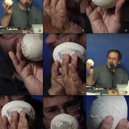 A dinosaur egg more than