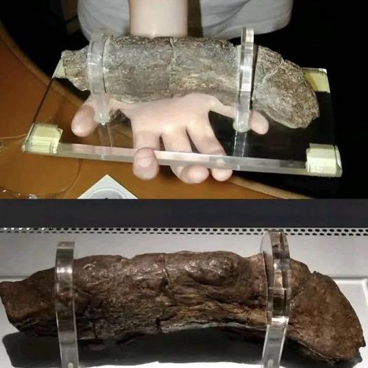 Check out the world's largest known