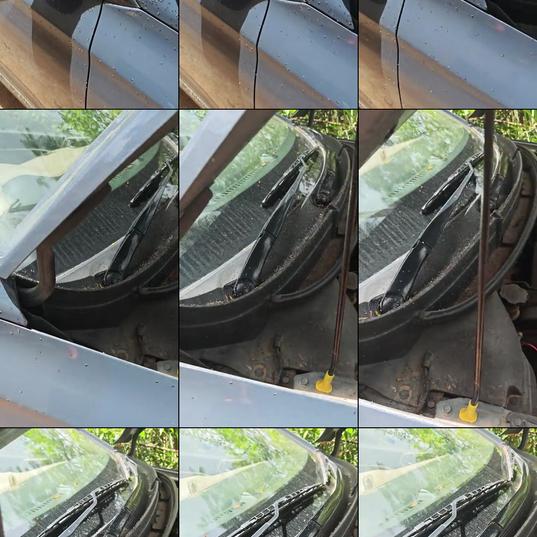 Thousands of ants invade a car and try